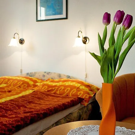 Apartment Apartment Heviz 2 Hévíz